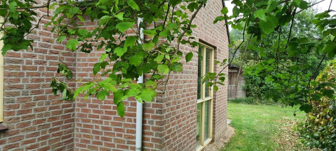 Ewijk Forestview 'Queenstown' 6 Pers Very Child-Friendly By Kawatea Cottages (Adults Only) מראה חיצוני תמונה